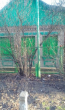 For sale:  home - Солодилова переулок, 23г str., Slov'yansk city (9656-643) | Dom2000.com #66998126