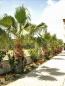 For sale hotel/resort - Zakynthos (4112-644) | Dom2000.com #24472191