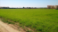 For sale:  land - Chalkidiki (4118-646) | Dom2000.com #24535641