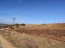 For sale:  land - Athos (6998-646) | Dom2000.com #46505016