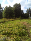 For sale:  land - д. Maloe Yascherovo (10638-649) | Dom2000.com #77856575