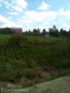 For sale:  land - д. Maloe Yascherovo (10638-649) | Dom2000.com #77856577
