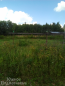 For sale:  land - д. Maloe Yascherovo (10638-649) | Dom2000.com #77856582
