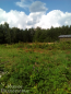 For sale:  land - д. Maloe Yascherovo (10638-649) | Dom2000.com #77856585