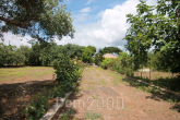 For sale:  home - Kerkyra (Corfu island) (6483-649) | Dom2000.com