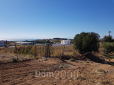 For sale:  land - Chalkidiki (6998-655) | Dom2000.com