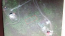 For sale:  land - Borispil city (9025-655) | Dom2000.com #69073209