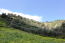 For sale:  land - Iraklion (crete) (4113-656) | Dom2000.com #24481707
