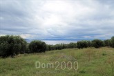 For sale:  land - Sithonia (4115-657) | Dom2000.com