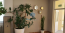For sale:  4-room apartment - Мичуринский проспект, 29 str., Moscow city (10627-658) | Dom2000.com #77732189