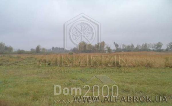 Продам земельный участок - ул. Центральная, Барышевский район (3701-658) | Dom2000.com