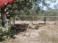 For sale:  home - Озерная str., Velikodolinske town (9810-658) | Dom2000.com #68438716