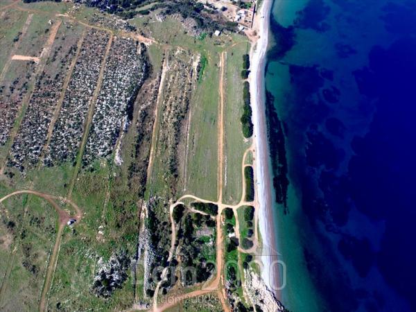 For sale:  land - Евія (7677-660) | Dom2000.com