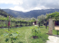 For sale:  land - Thasos (4117-662) | Dom2000.com #24525133