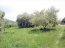 For sale:  land - Thasos (4117-662) | Dom2000.com #24525136