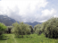 For sale:  land - Thasos (4117-662) | Dom2000.com #24525139
