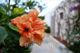 Продам дом - Ираклио (Крит) (4708-662) | Dom2000.com