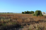 For sale:  land - Kassandra (4110-663) | Dom2000.com #24449419