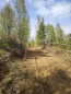 For sale:  land - р-н. Irkutskiy (10456-664) | Dom2000.com #75465223