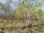 For sale:  land - р-н. Irkutskiy (10456-664) | Dom2000.com #75465225