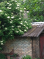 For sale:  home - Kiyivska oblast (9810-664) | Dom2000.com #68438793