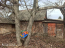 For sale:  home - Kiyivska oblast (9810-664) | Dom2000.com #68438795