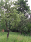 For sale:  home - Kiyivska oblast (9810-664) | Dom2000.com #68438799