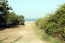 For sale:  land - Sithonia (4116-672) | Dom2000.com #24514649