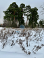 For sale:  land - посёлок подсобного хозяйства Суханово str., д. Suhanovo (10590-673) | Dom2000.com #76948310