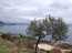 For sale:  land - Pelloponese (4113-676) | Dom2000.com #24481967