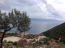 For sale:  land - Pelloponese (4113-676) | Dom2000.com #24481968