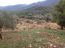 For sale:  land - Pelloponese (4113-676) | Dom2000.com #24481971