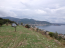 For sale:  land - Pelloponese (4113-676) | Dom2000.com #24481973