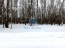 For sale:  land - 208 str., с. Dydyldino (10605-680) | Dom2000.com #77109143