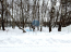 For sale:  land - 208 str., с. Dydyldino (10605-680) | Dom2000.com #77109144
