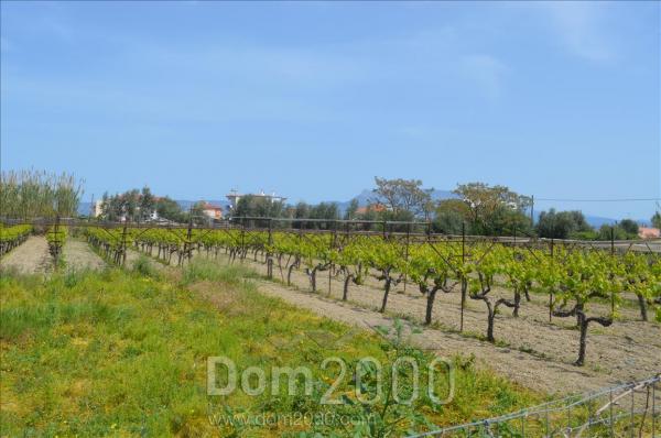 For sale:  land - Pelloponese (4150-681) | Dom2000.com