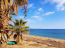 For sale:  land - Sithonia (5848-681) | Dom2000.com #38470332