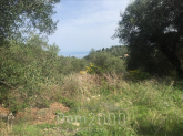 For sale:  land - Ionian Islands (6998-682) | Dom2000.com