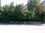 For sale:  land - Attiki (4118-683) | Dom2000.com #24536008