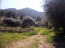 For sale:  land - Thasos (4120-684) | Dom2000.com #24556348