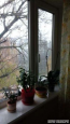 For sale:  2-room apartment - Гречко Маршала ул., 20, Nivki (5729-685) | Dom2000.com #37597424