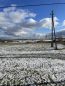 For sale:  land - д. Varposi (10615-686) | Dom2000.com #77224971