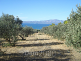 For sale:  land - Attiki (6579-687) | Dom2000.com