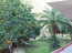 For sale hotel/resort - Kerkyra (Corfu island) (4118-689) | Dom2000.com #24536046