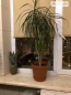 For sale:  2-room apartment - Валентиновская ул., Harkiv city (9923-689) | Dom2000.com #69626846