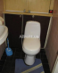 Lease 2-room apartment - Старонаводницкая, 6а, Pecherskiy (9184-691) | Dom2000.com #62730110