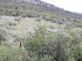 For sale:  land - Thasos (4117-695) | Dom2000.com