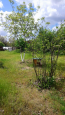 For sale:  home - р-н. Gorodischenskiy (10571-696) | Dom2000.com #76739177