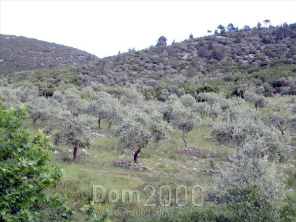 For sale:  land - Thasos (4117-697) | Dom2000.com