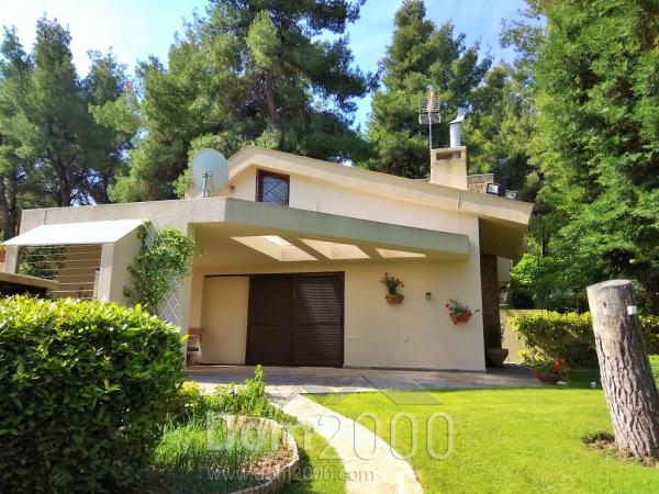 For sale:  home - Kassandra (6319-700) | Dom2000.com